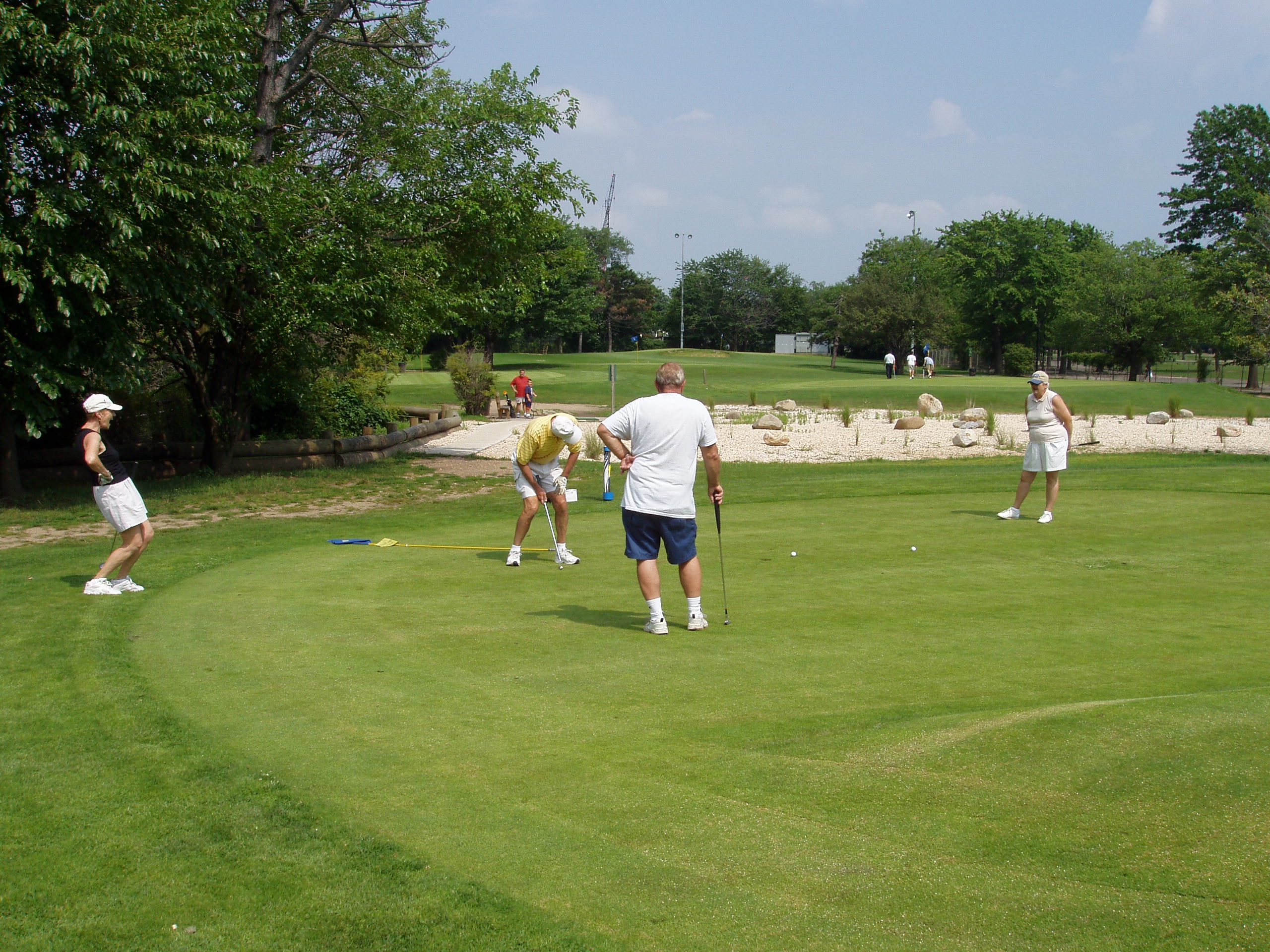 Pitch and Putt Flushing Meadows